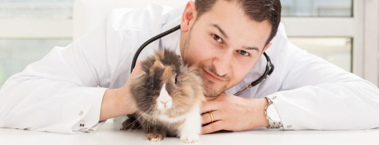 The Visiting Vet -Singapore