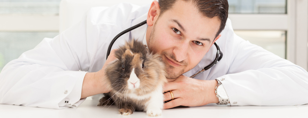 Read more about the article Is a Veterinary House Call the Safer, Less Stressful Way to Manage Your Pet’s Parasite Care?
