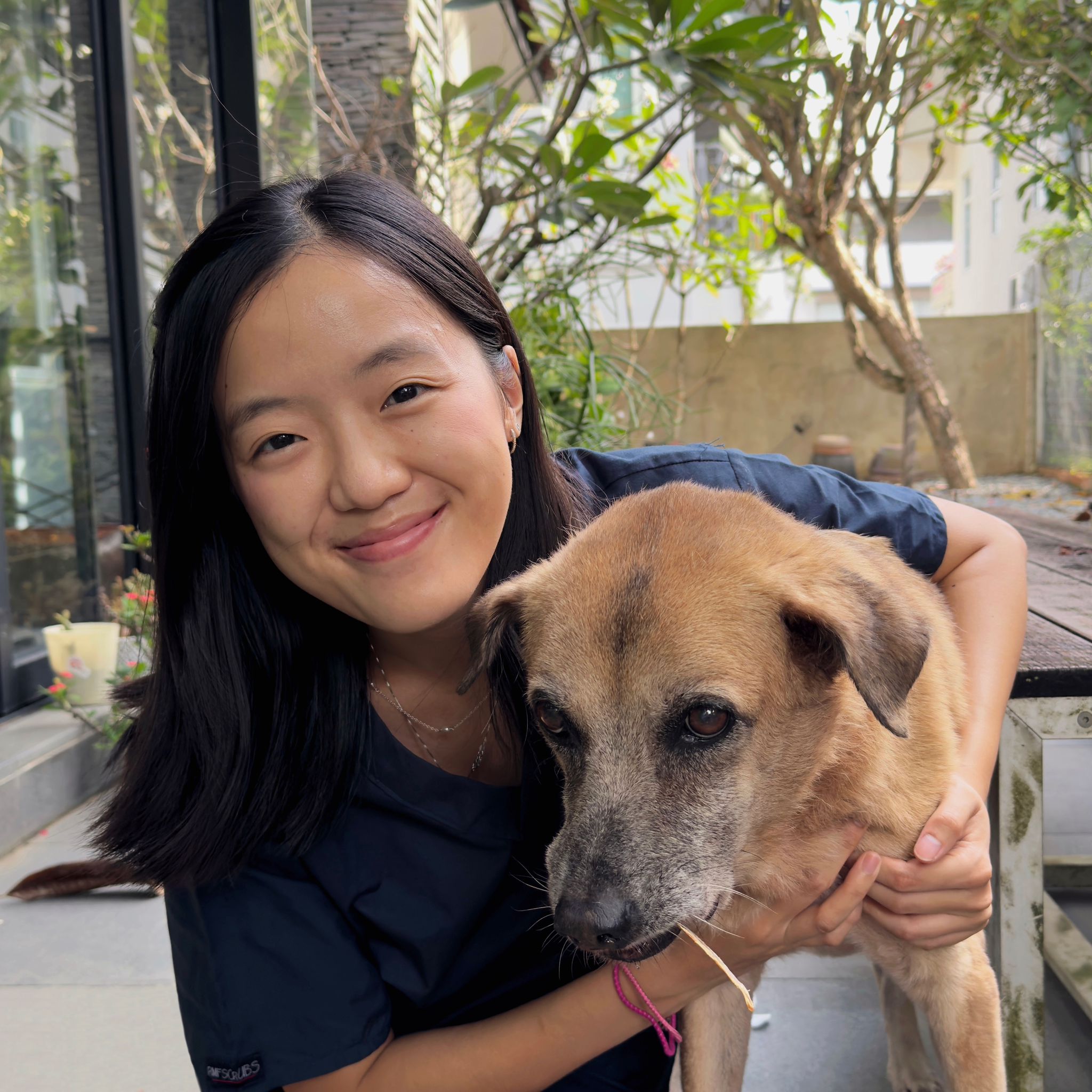 Read more about the article Can Heartworm Testing Be Done at Home by a Mobile Vet in Singapore?